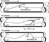 Thumbnail: Fig. 7 Refer to the following caption and surrounding text.